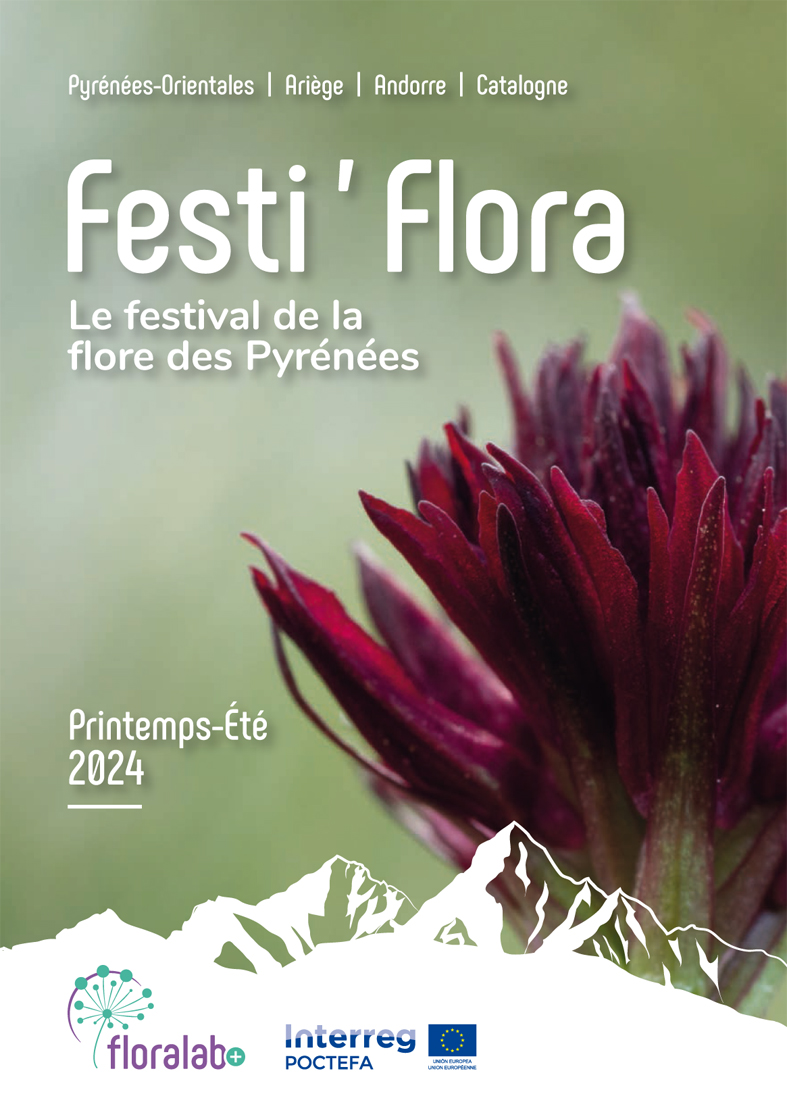 Festi’flora 2024